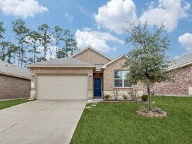 14214 Glacier Bay Ct in Conroe, TX - Building Photo