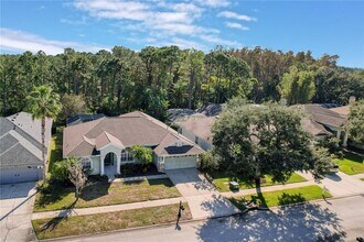 14639 Coral Berry Dr in Tampa, FL - Building Photo - Building Photo