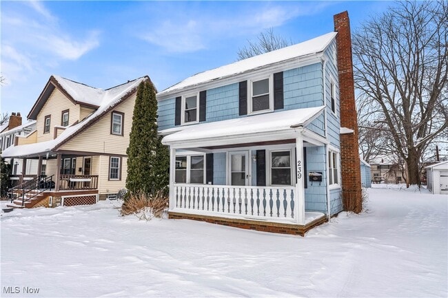 239 E 214th St in Euclid, OH - Building Photo - Building Photo