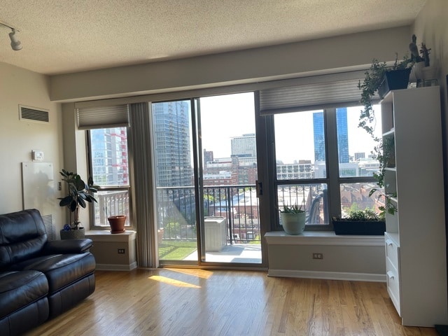 property at 1717 S Prairie Ave