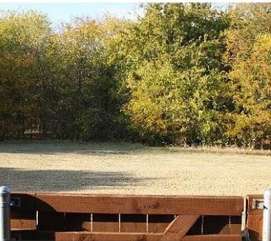 3217 Judge Holland Ln in Plano, TX - Building Photo - Building Photo