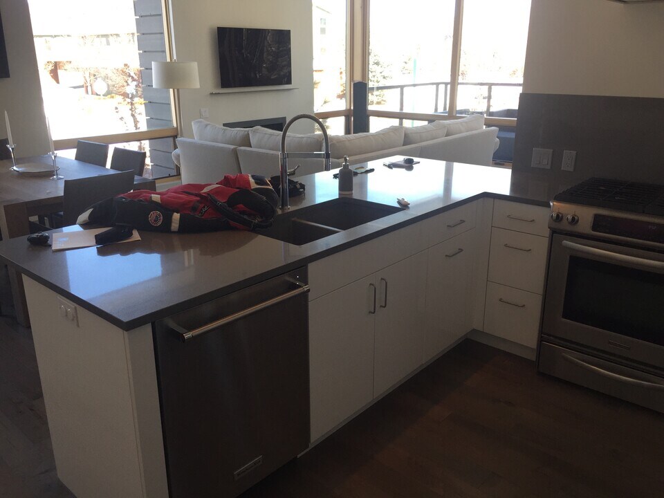 200 Evans Rd, Unit Modern 1 Bedroom in Basalt, CO - Foto de edificio