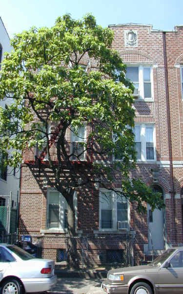 2072 77th St in Brooklyn, NY - Building Photo