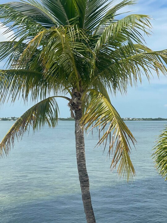 29420 Enterprise Ave in Big Pine Key, FL - Building Photo