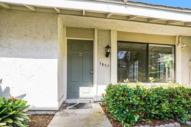 3857 Camino Lindo in San Diego, CA - Building Photo - Building Photo