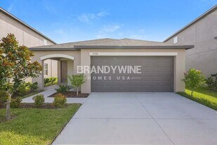 5136 White Chicory Dr in Ruskin, FL - Building Photo