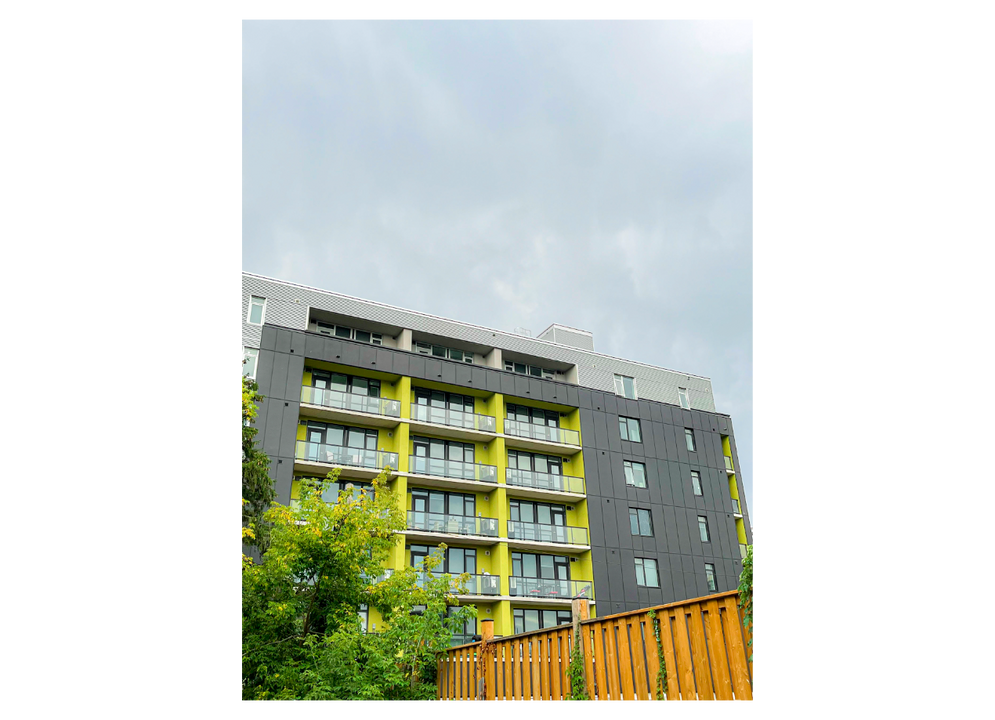 388 King St E in Kitchener, ON - Building Photo