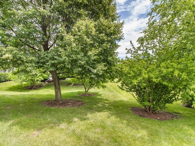 property at 3023 Anton Dr