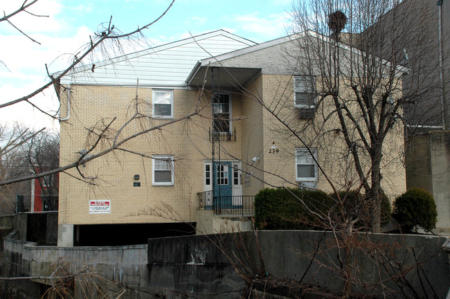 239 Hamilton St in Rahway, NJ - Building Photo - Building Photo