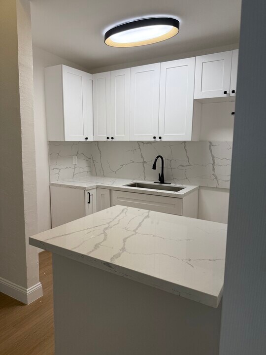 1005 SW 15th Ave in Fort Lauderdale, FL - Building Photo