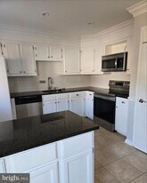 13672 Water Springs Ct in Centreville, VA - Building Photo