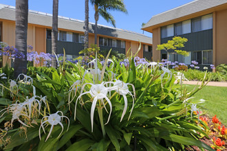 Pacific Breeze Apartments in San Diego, CA - Building Photo - Building Photo