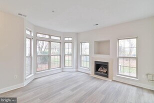 21174 Domain Terrace in Sterling, VA - Building Photo