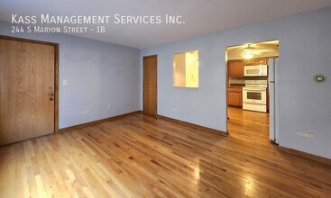 244 S Marion St in Oak Park, IL - Building Photo - Building Photo