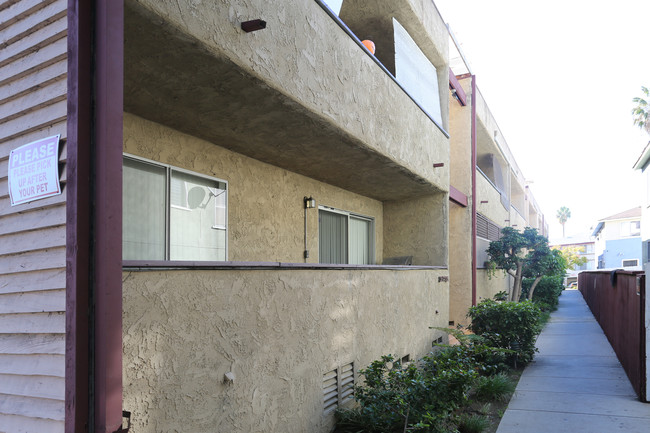 3715 Hughes Ave in Los Angeles, CA - Building Photo - Building Photo