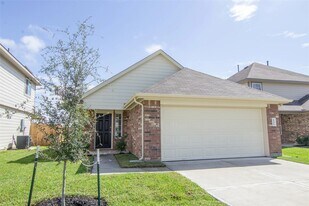 24351 Treviso Gardens Dr in Katy, TX - Building Photo