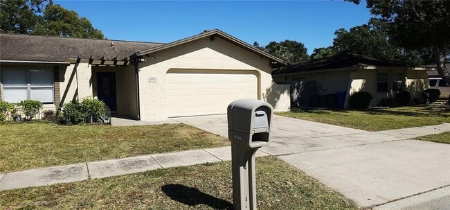 4703 Cypress Tree Dr in Tampa, FL - Building Photo - Building Photo