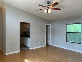 701 W Sycamore St, Unit 303 in Denton, TX - Building Photo - Building Photo