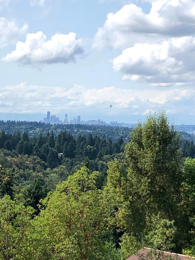 property at 13603 SE 55th Pl