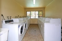 Walnut Wood Apartments - 6