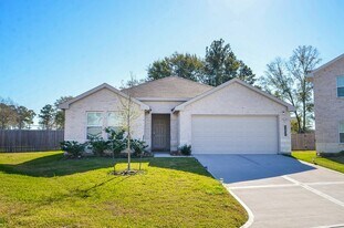 11921 Summer Oak Trl in Willis, TX - Building Photo