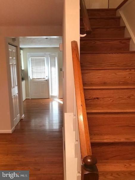 3288 Wyndale Ct in Woodbridge, VA - Building Photo - Building Photo