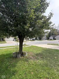 8312 Lake Tree Ln in Indianapolis, IN - Foto de edificio - Building Photo