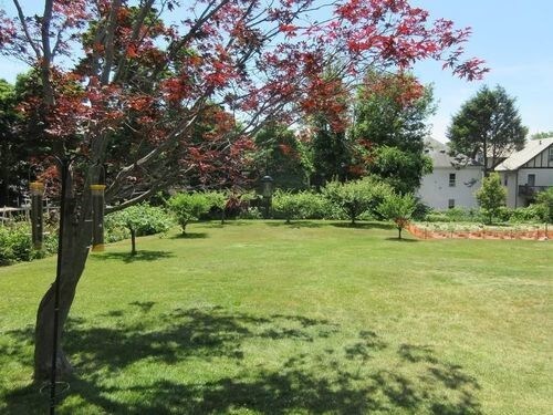 66 Perthshire Rd-Unit -6622 in Boston, MA - Building Photo - Building Photo