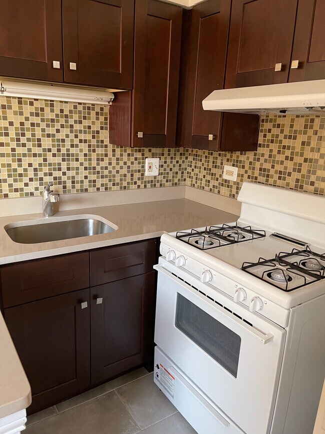 3710 N Pine Grove Ave, Unit STUDIO in Chicago, IL - Building Photo - Building Photo