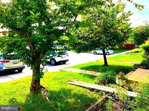 3269 Halcyon Ct in Ellicott City, MD - Building Photo - Building Photo