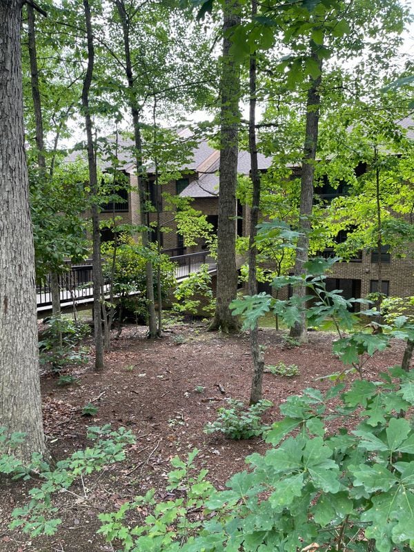 property at 44755 Woodlake Ct