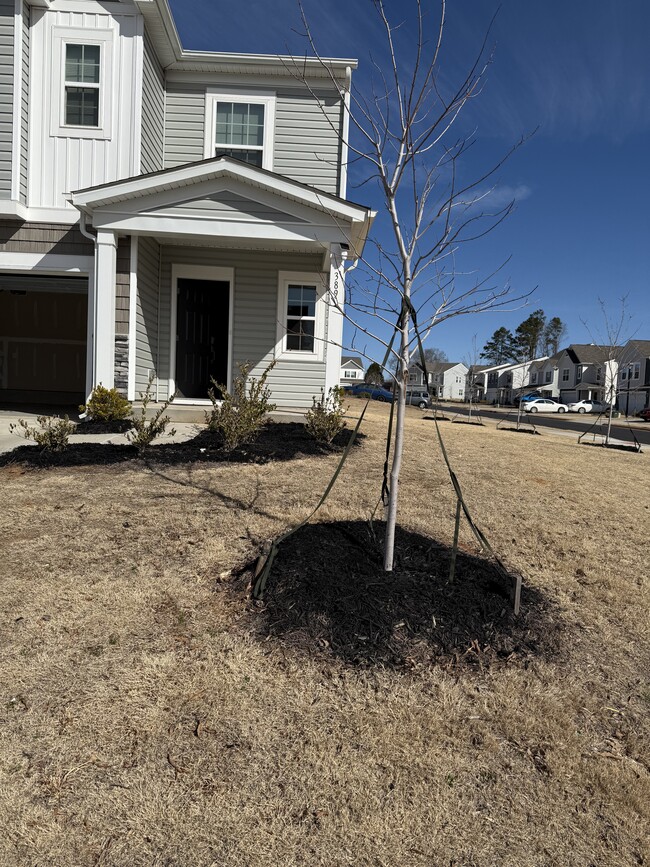 389 Hollingswood Dr in Statesville, NC - Building Photo - Building Photo