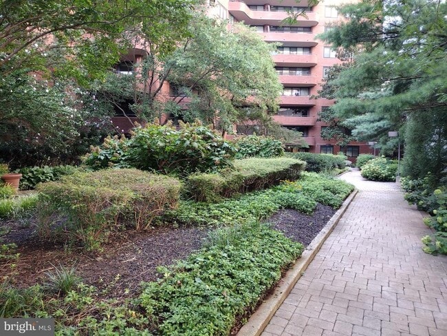 4550 N Park Ave in Chevy Chase, MD - Foto de edificio - Building Photo