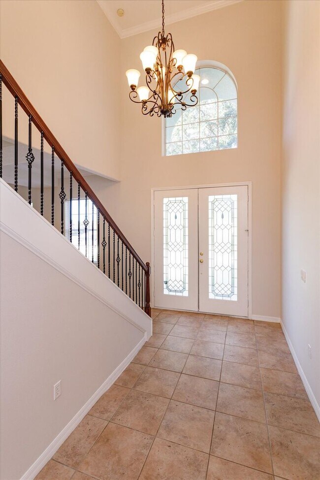 12134 Still Meadow Dr in Clermont, FL - Building Photo - Building Photo