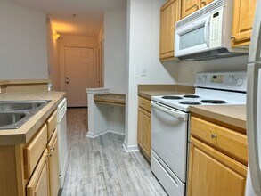 420 S Villa San Marco Dr in St. Augustine, FL - Building Photo - Building Photo