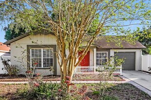 1909 Chablis Ct in Valrico, FL - Building Photo