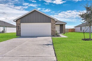 1025 Bluegill Ln in Alvin, TX - Building Photo