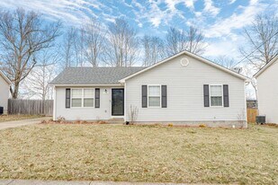 115 Ivy Pointe Dr in Elizabethtown, KY - Building Photo