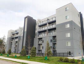 144 Lucan Ave in Waterloo, ON - Building Photo