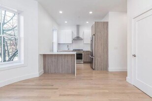 55 E Springfield St, Unit 4 in Boston, MA - Building Photo