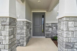 10437 Farm Hl Ave in Land O Lakes, FL - Building Photo - Building Photo