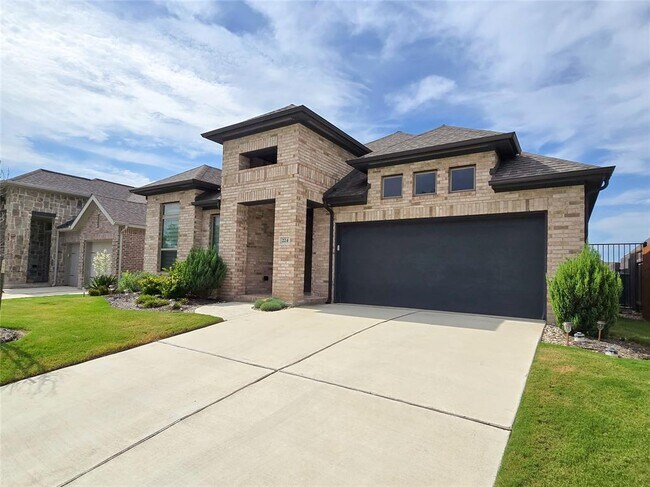 224 Pisa Ln in Andice, TX - Building Photo - Building Photo