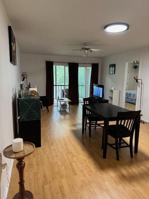 122 Cypress Ln in Oldsmar, FL - Building Photo - Building Photo