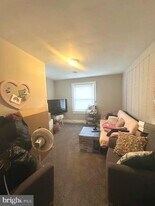 803 Wolfe St in Fredericksburg, VA - Building Photo