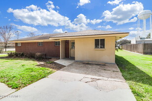 217 Chance St in Lafayette, LA - Building Photo