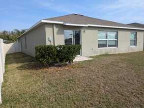 10211 Strawberry Tetra Dr in Riverview, FL - Foto de edificio - Building Photo