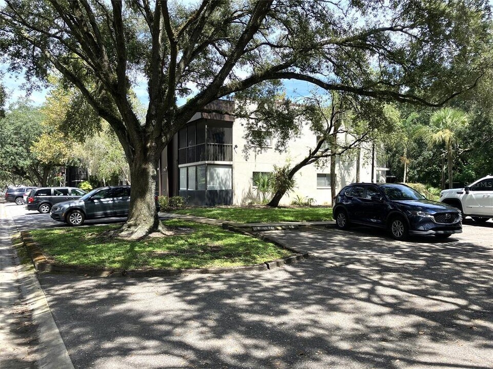 11703 Raintree Village Blvd in Temple Terrace, FL - Building Photo