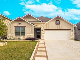 337 Alicante Ln in Liberty Hill, TX - Building Photo