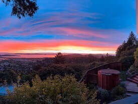 173 Summit Dr in Corte Madera, CA - Building Photo