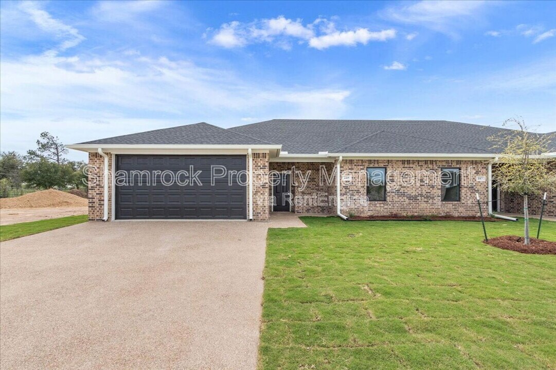 117 Windmill Wy in Robinson, TX - Building Photo